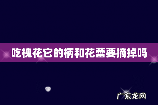 吃槐花它的柄和花蕾要摘掉吗