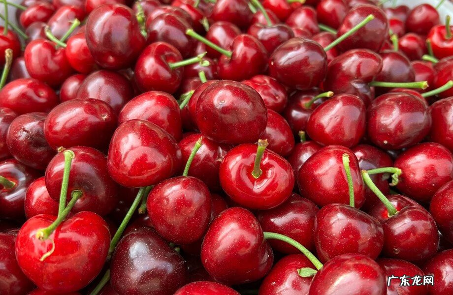 碱性水果大全一览表 碱性水果有哪些?