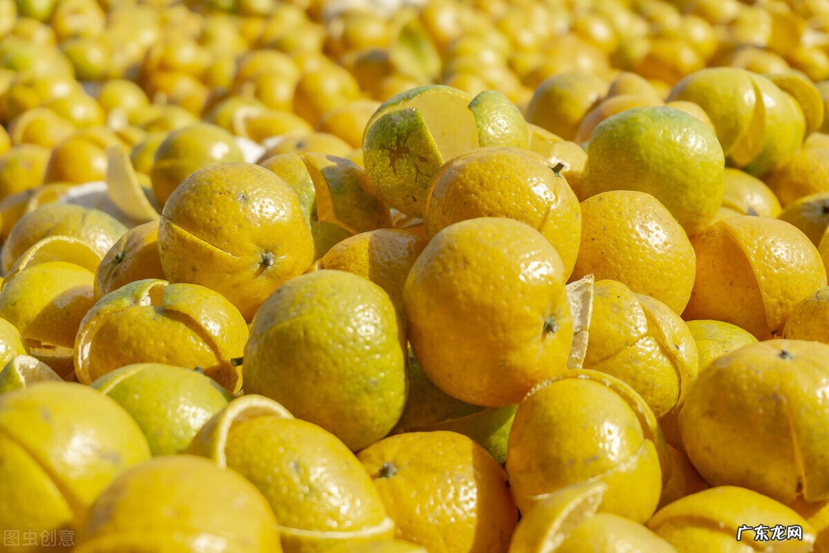 陈皮的功效与作用简介 陈皮的功效与作用