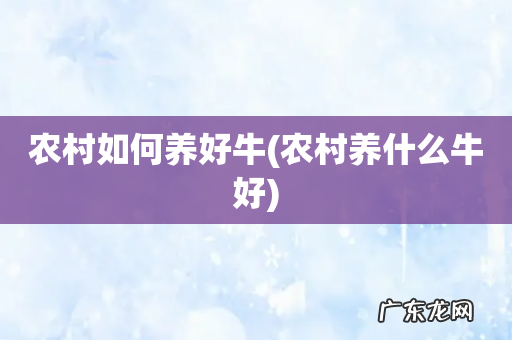 农村养什么牛好 农村如何养好牛