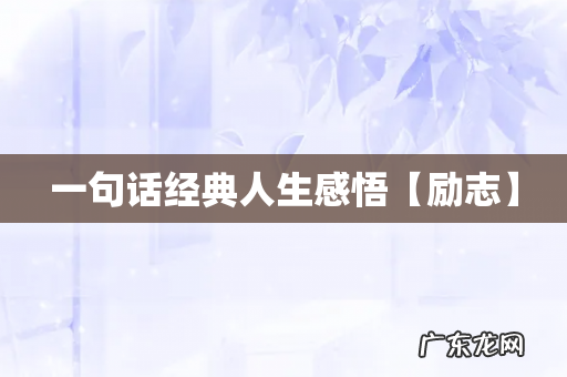 一句话经典人生感悟【励志】