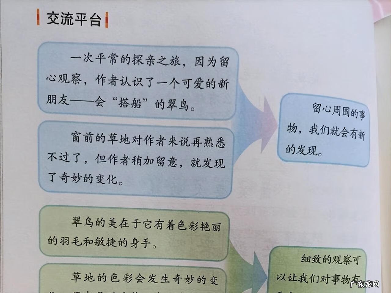 三年级作文指导 三年级作文辅导课