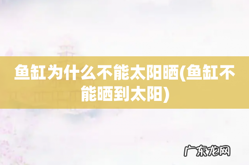 鱼缸不能晒到太阳 鱼缸为什么不能太阳晒