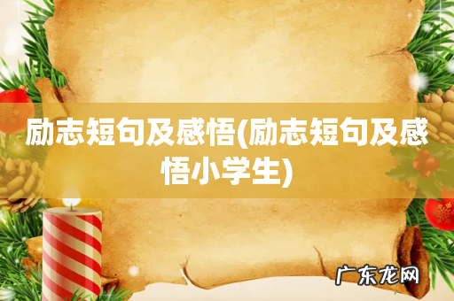 励志短句及感悟小学生 励志短句及感悟