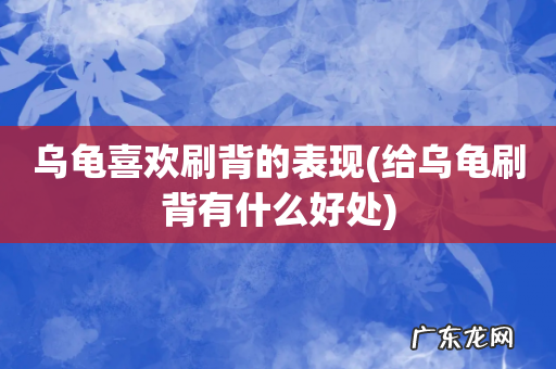 给乌龟刷背有什么好处 乌龟喜欢刷背的表现