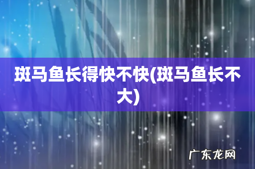 斑马鱼长不大 斑马鱼长得快不快