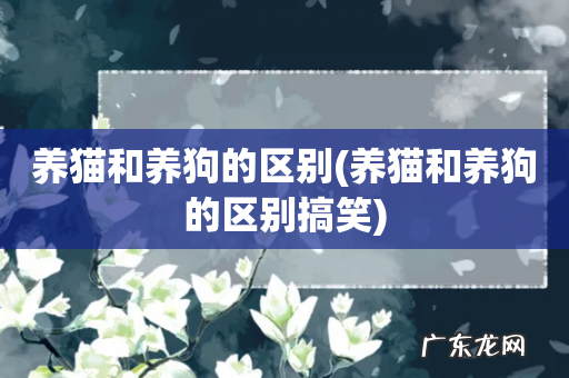 养猫和养狗的区别搞笑 养猫和养狗的区别
