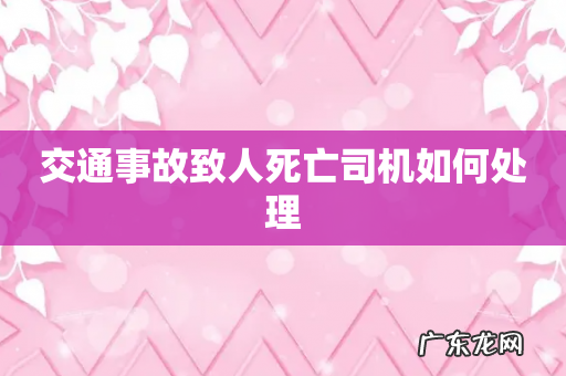 交通事故致人死亡司机如何处理