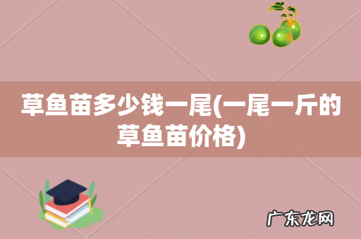一尾一斤的草鱼苗价格 草鱼苗多少钱一尾