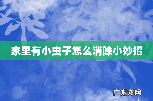 家里有小虫子怎么消除小妙招