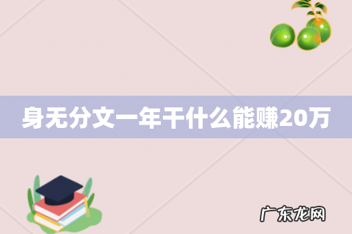 身无分文一年干什么能赚20万