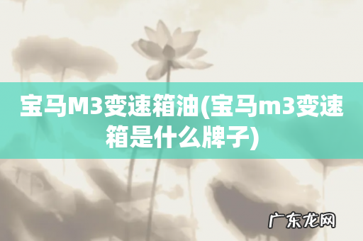 宝马m3变速箱是什么牌子 宝马M3变速箱油