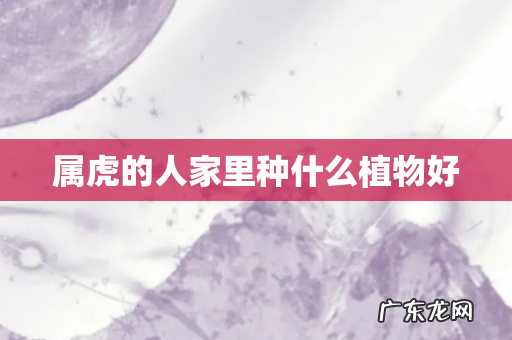 属虎的人家里种什么植物好