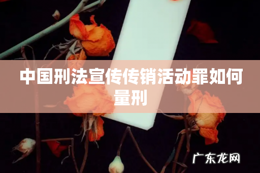 中国刑法宣传传销活动罪如何量刑