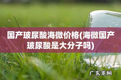 海微国产玻尿酸是大分子吗 国产玻尿酸海微价格