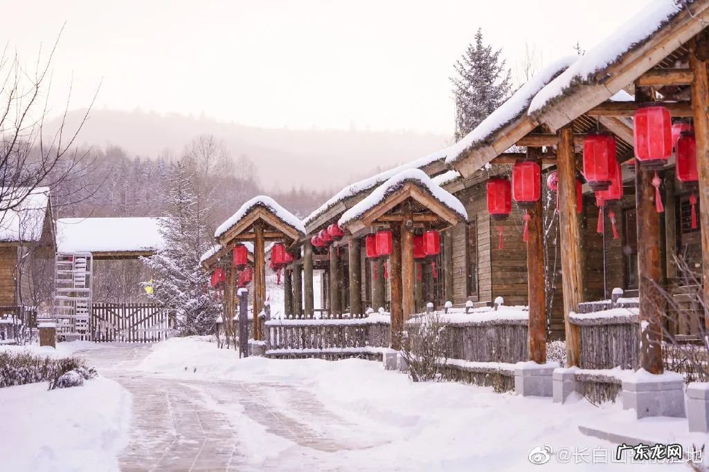 冬天滑雪的地方有哪些 冬天哪里能滑雪