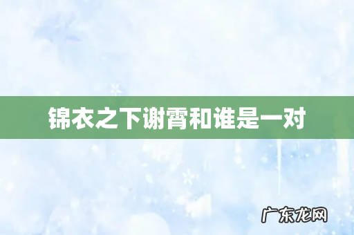 锦衣之下谢霄和谁是一对