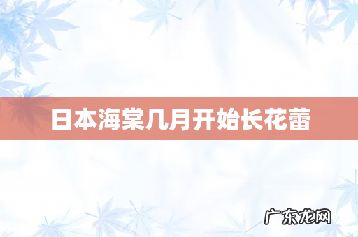 日本海棠几月开始长花蕾