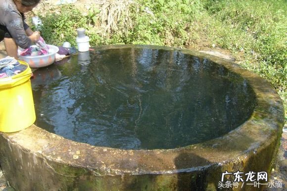 驻马店起名风水师 驻马店风水事件