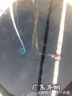 驻马店起名风水师 驻马店风水事件