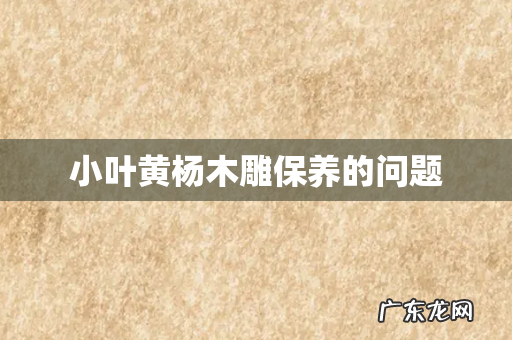 小叶黄杨木雕保养的问题