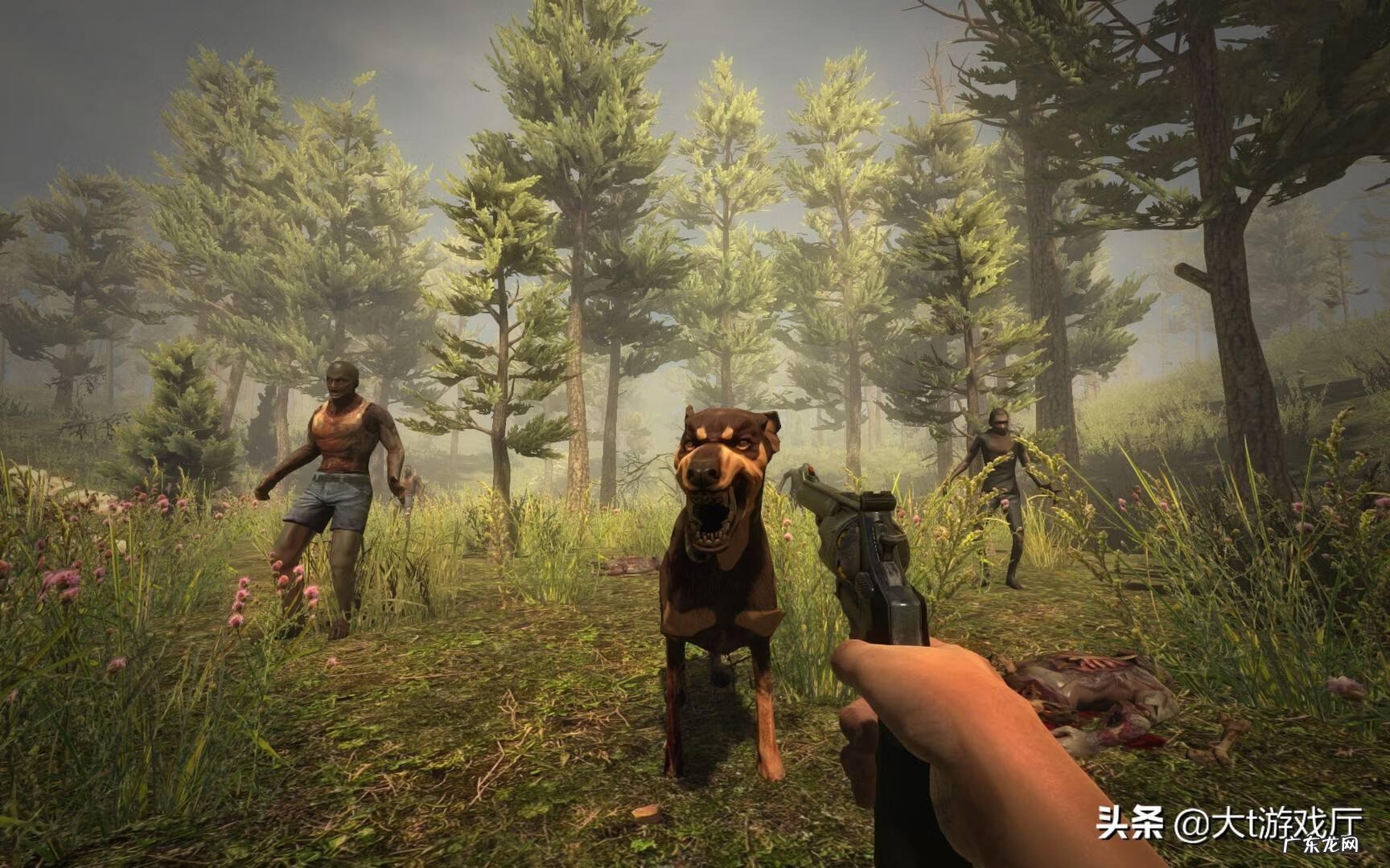 现在什么游戏最好玩最火 有没有什么好玩的网游