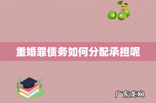重婚罪债务如何分配承担呢