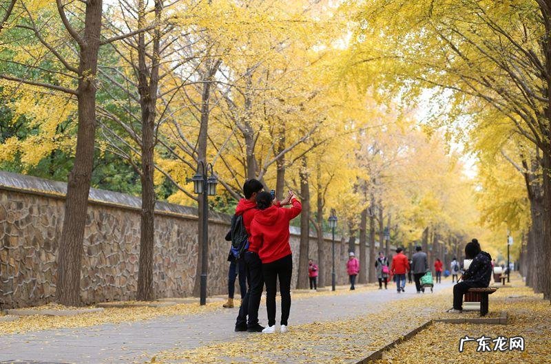 neo-noir 你的norby