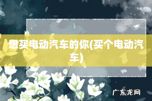 买个电动汽车 想买电动汽车的你