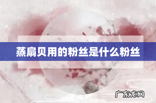 蒸扇贝用的粉丝是什么粉丝