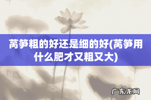 莴笋用什么肥才又粗又大 莴笋粗的好还是细的好