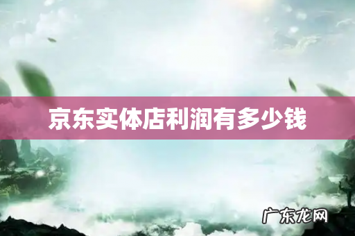 京东实体店利润有多少钱