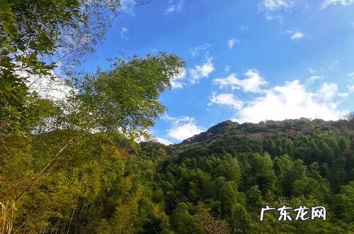 鹤地风水出怎样的人 从化仙人骑鹤风水考察
