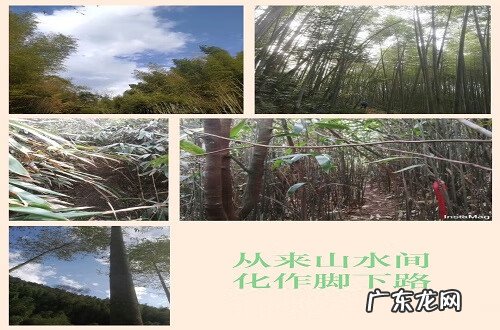 鹤地风水出怎样的人 从化仙人骑鹤风水考察