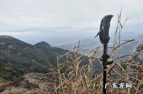 鹤地风水出怎样的人 从化仙人骑鹤风水考察