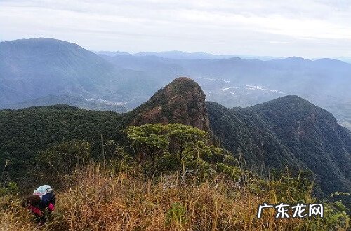 鹤地风水出怎样的人 从化仙人骑鹤风水考察