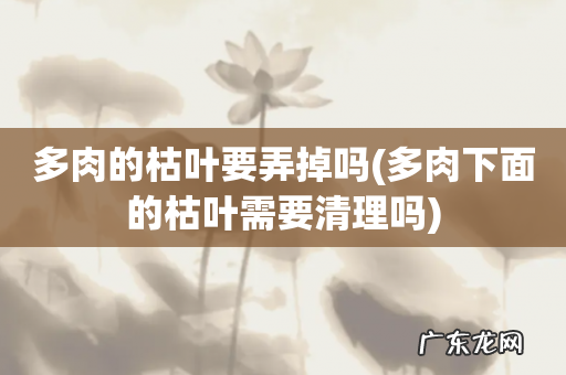 多肉下面的枯叶需要清理吗 多肉的枯叶要弄掉吗