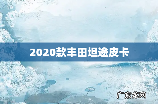 2020款丰田坦途皮卡