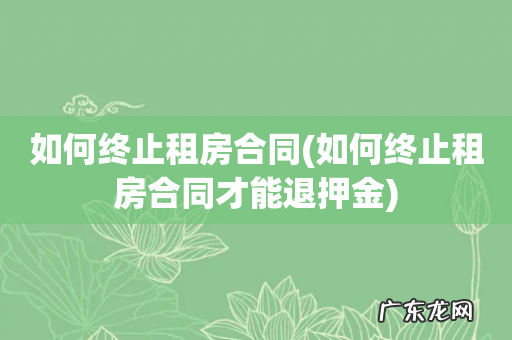 如何终止租房合同才能退押金 如何终止租房合同