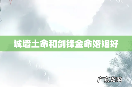 城墙土命和剑锋金命婚姻好