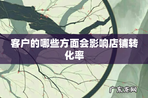 客户的哪些方面会影响店铺转化率