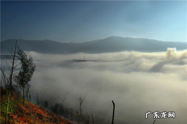 引龙局风水 风水三龙聚首