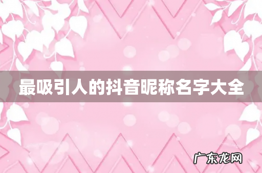 最吸引人的抖音昵称名字大全