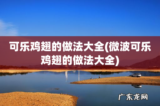 微波可乐鸡翅的做法大全 可乐鸡翅的做法大全