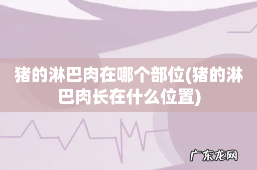 猪的淋巴肉长在什么位置 猪的淋巴肉在哪个部位