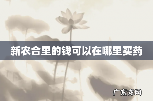 新农合里的钱可以在哪里买药