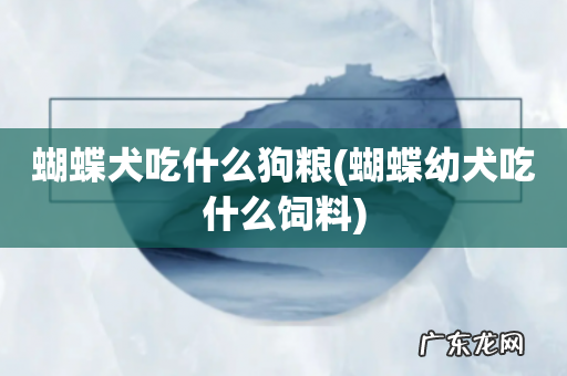 蝴蝶幼犬吃什么饲料 蝴蝶犬吃什么狗粮