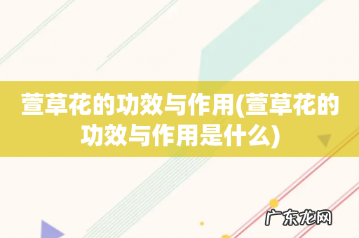 萱草花的功效与作用是什么 萱草花的功效与作用