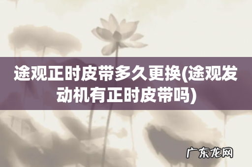 途观发动机有正时皮带吗 途观正时皮带多久更换