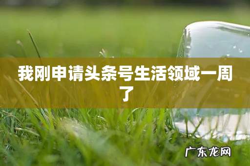 我刚申请头条号生活领域一周了